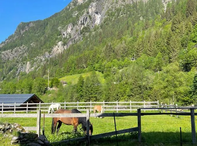 Campo Base 3*